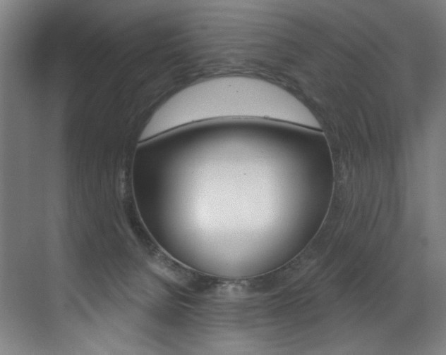 X0000073440080200607281042
