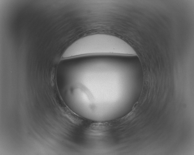 X0000073440082200607281042