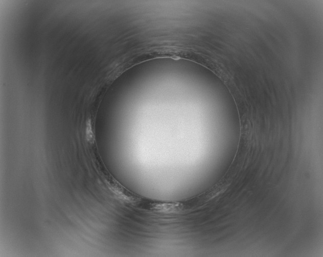 X0000073440089200607281042