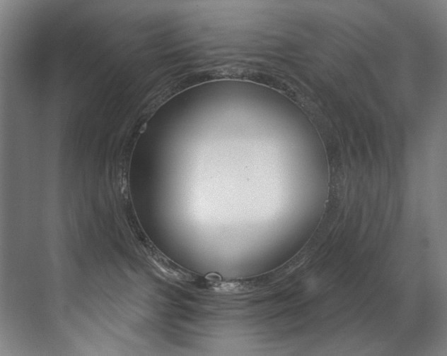 X0000073440091200607281042