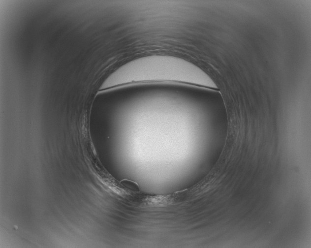 X0000073440092200607281042