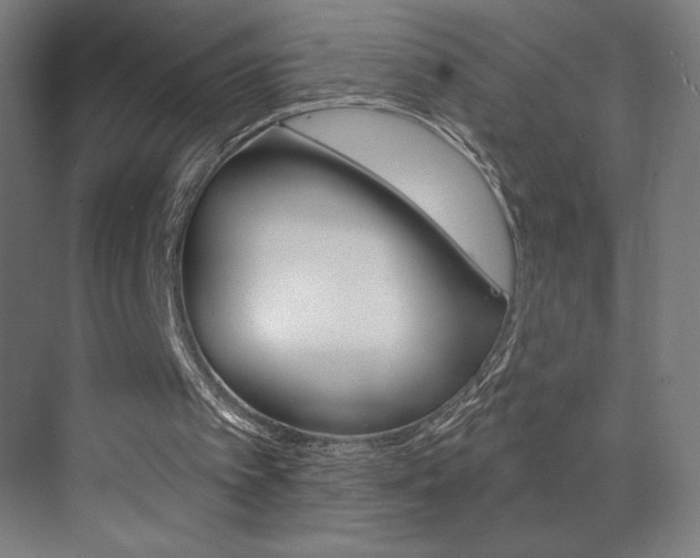 X0000073440097200607281041