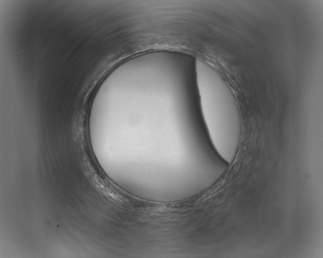 X0000073440098200607281041