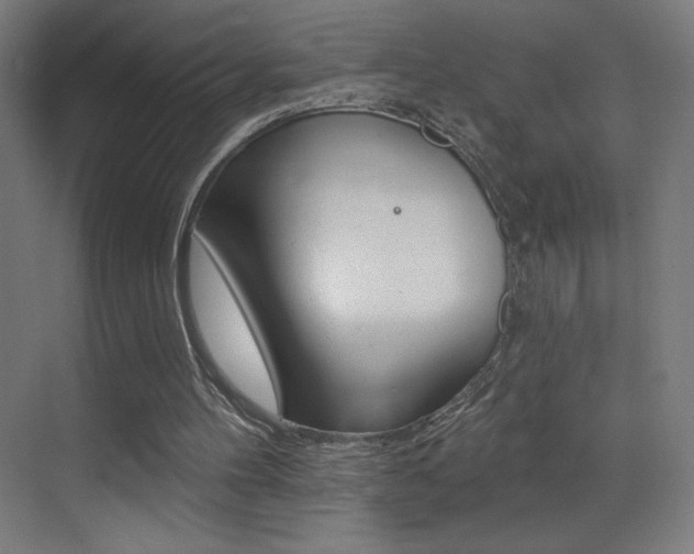 X0000073440100200607281041