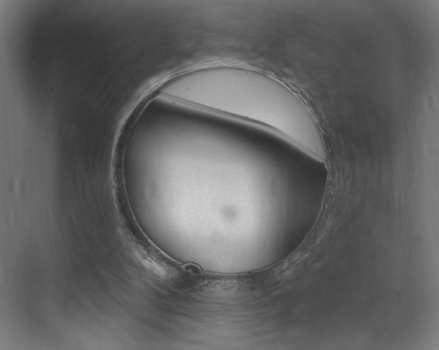 X0000073440104200607281041