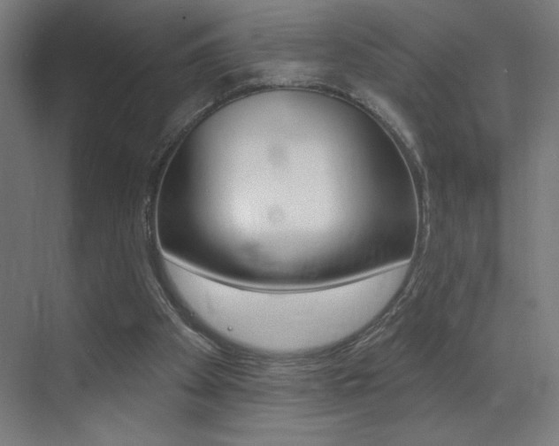 X0000073440105200607281041