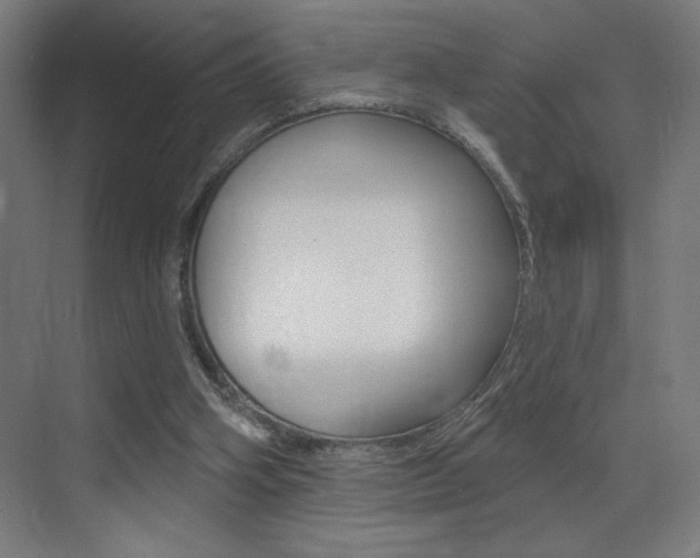 X0000073440106200607281041