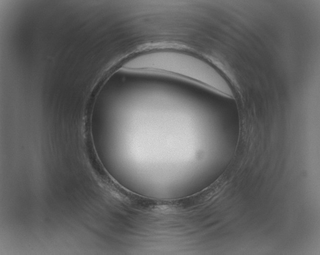 X0000073440111200607281041