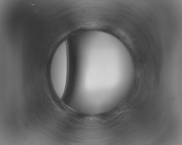 X0000073440115200607281041