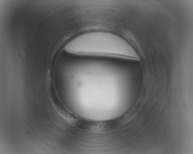 X0000073440116200607281041