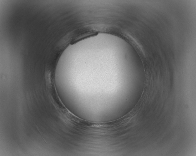 X0000073440117200607281041