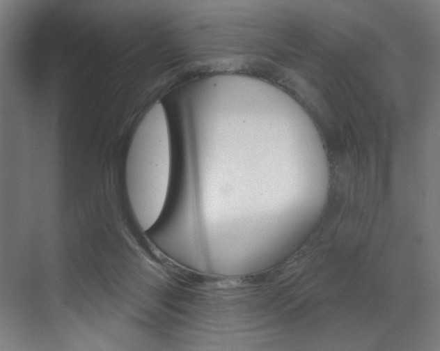 X0000073440118200607281041
