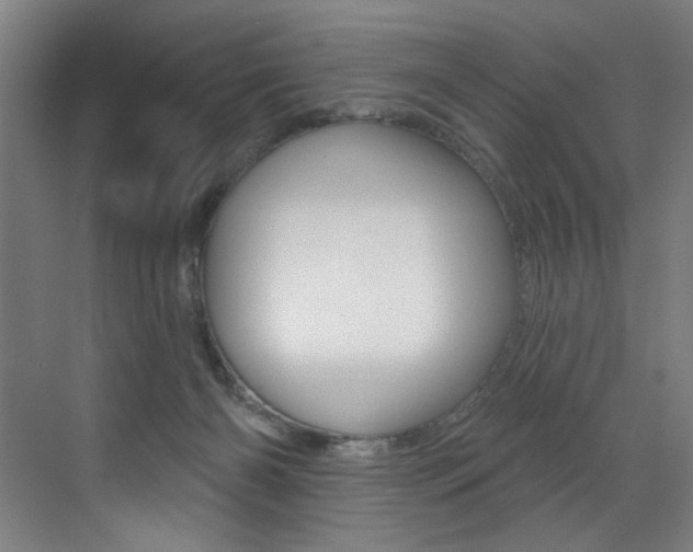 X0000073440126200607281041
