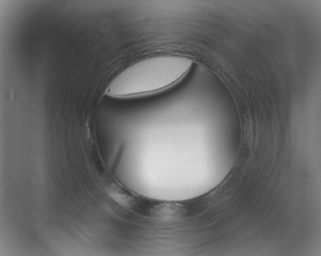 X0000073440128200607281041