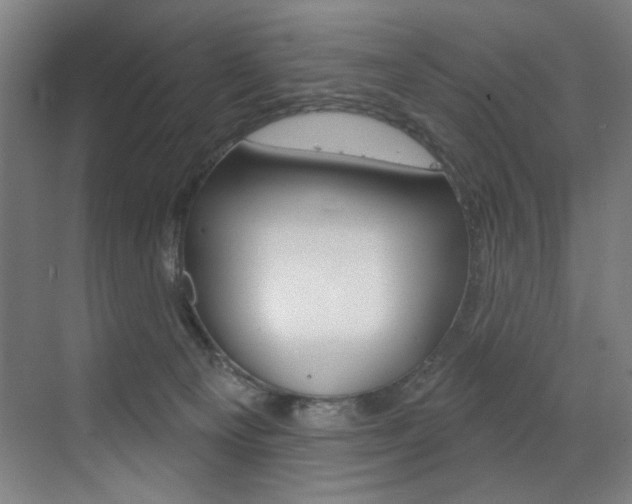 X0000073440129200607281041