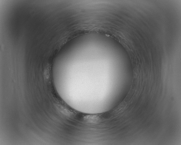 X0000073440133200607281041