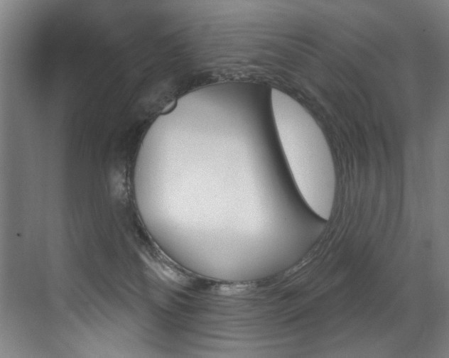 X0000073440134200607281041