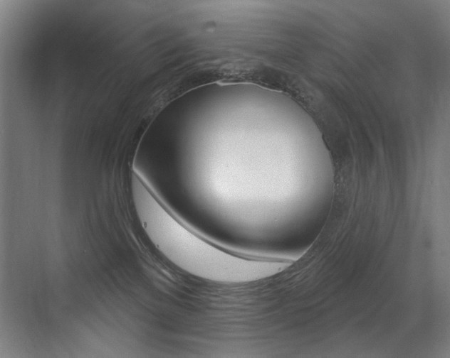 X0000073440137200607281041
