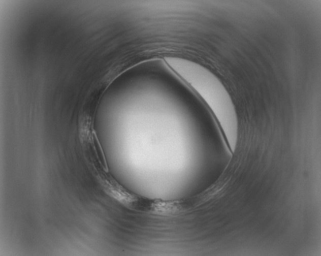 X0000073440141200607281041