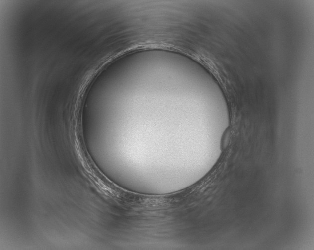 X0000073440145200607281040