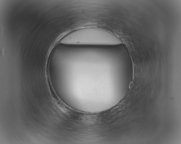 X0000073440147200607281040
