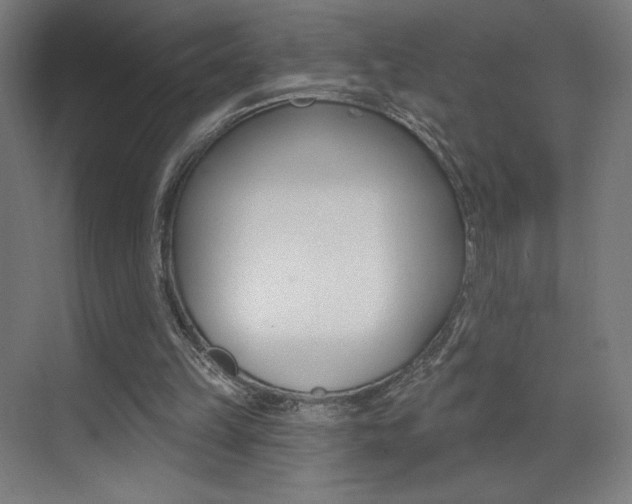 X0000073440149200607281040