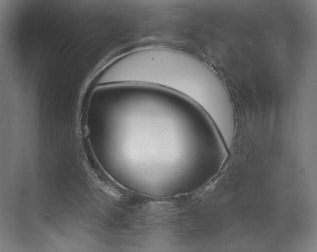 X0000073440150200607281040