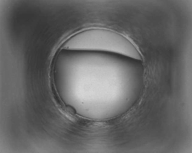 X0000073440151200607281040