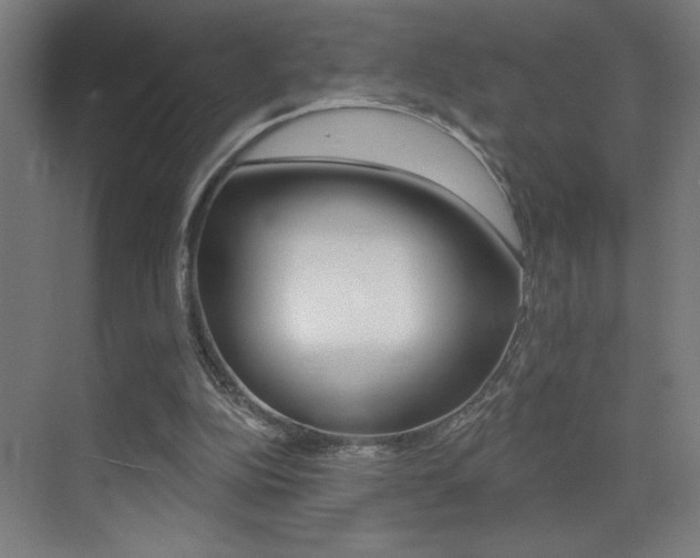 X0000073440152200607281040