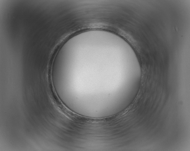 X0000073440155200607281040