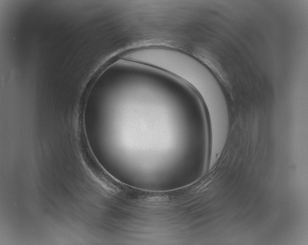 X0000073440156200607281040