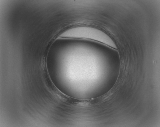 X0000073440168200607281040