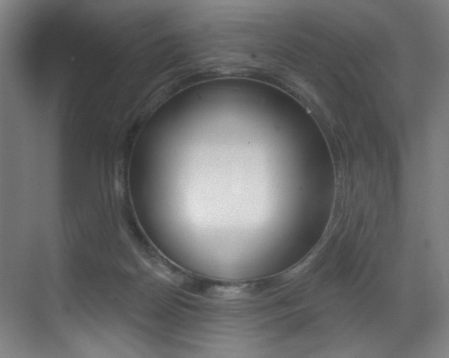 X0000073440170200607281040