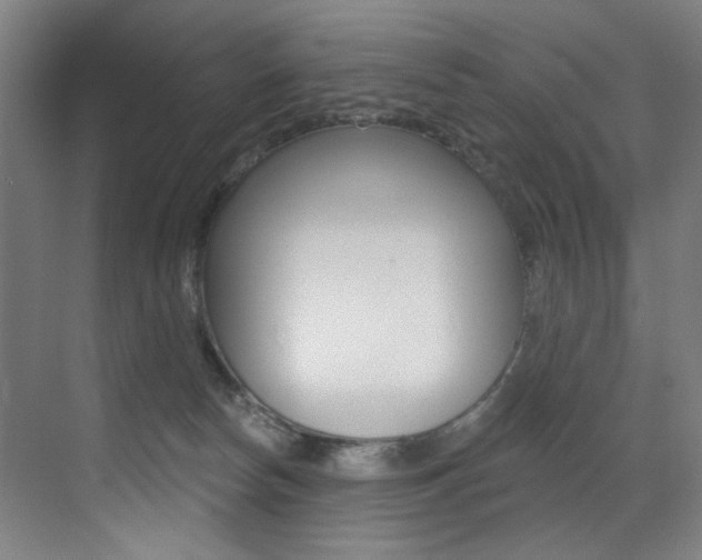 X0000073440178200607281040