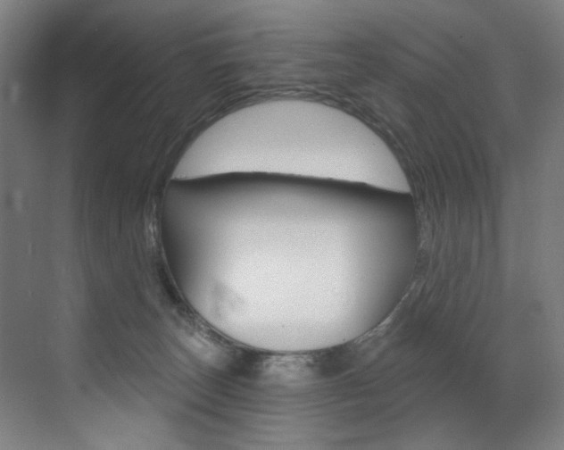 X0000073440179200607281040