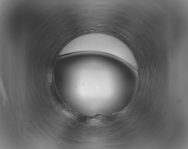 X0000073440180200607281040