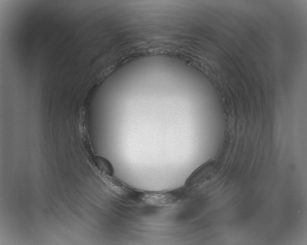 X0000073440181200607281040