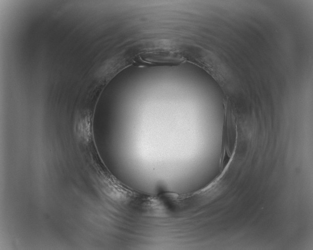 X0000073440190200607281041