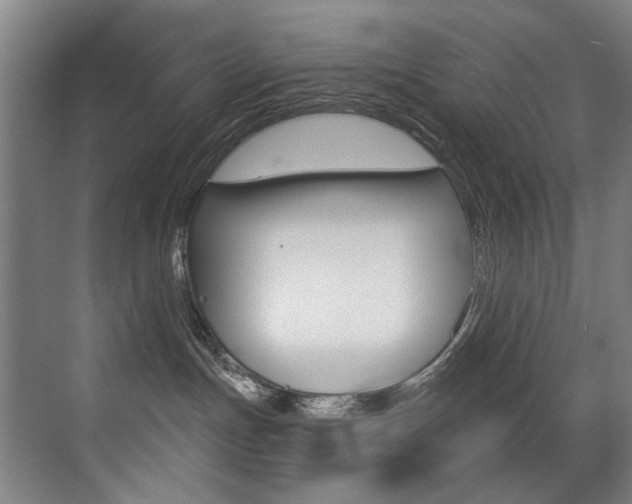 X0000073440191200607281041