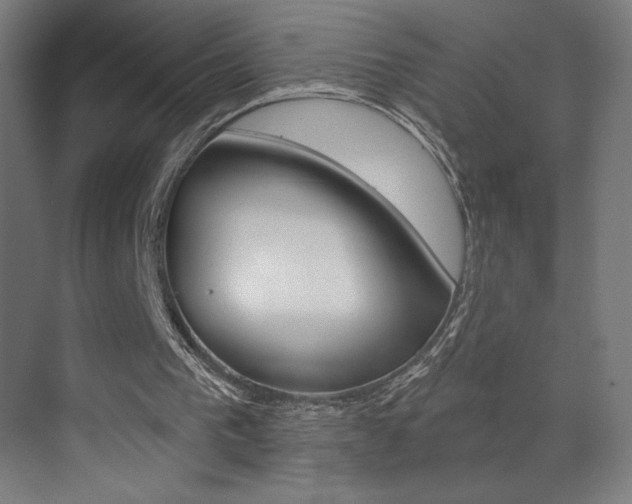 X0000073440193200607281040