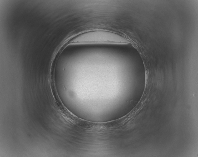 X0000073440195200607281040