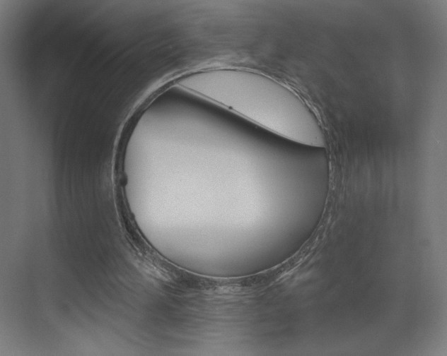 X0000073440196200607281040