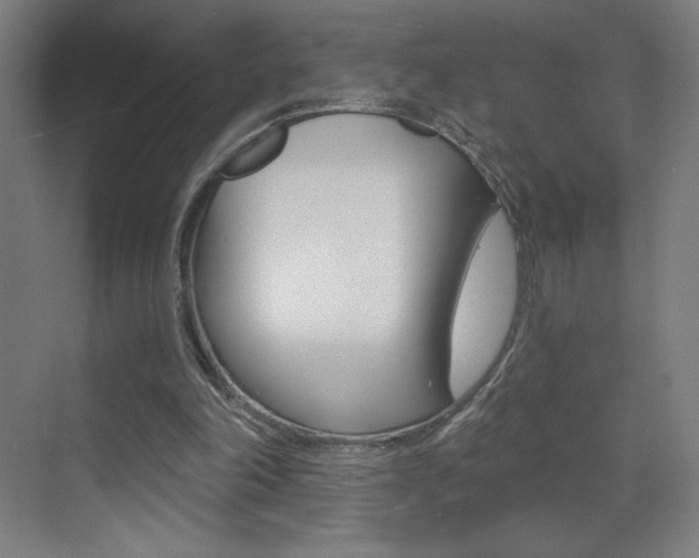 X0000073440198200607281040