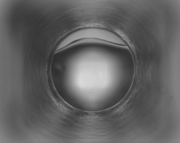 X0000073440201200607281040