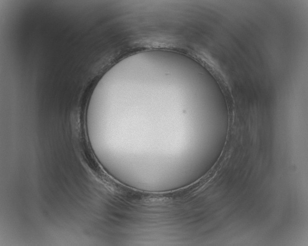 X0000073440202200607281040
