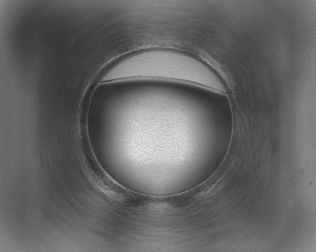 X0000073440203200607281040