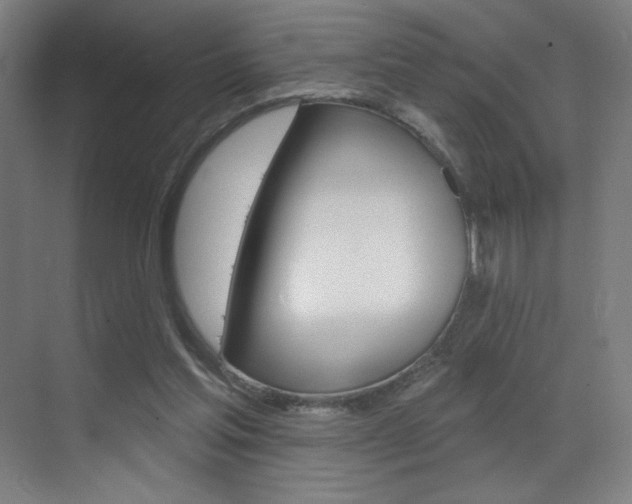 X0000073440205200607281040