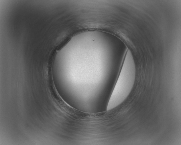 X0000073440207200607281040