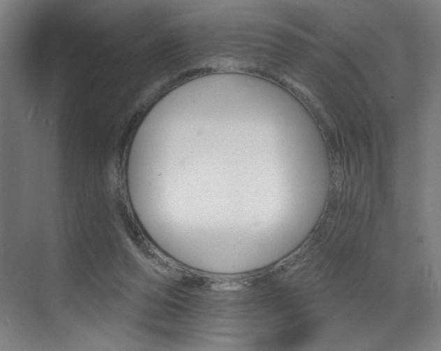 X0000073440208200607281040