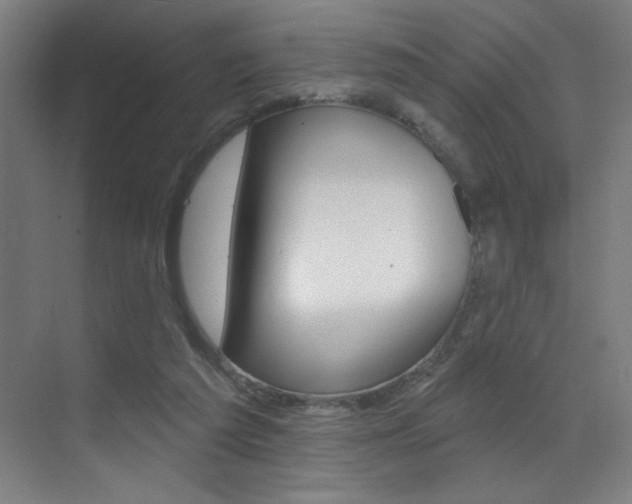 X0000073440209200607281040
